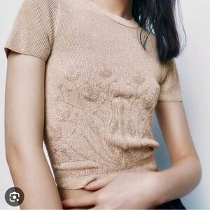 Zara Beaded Short Sleeve Knit Top